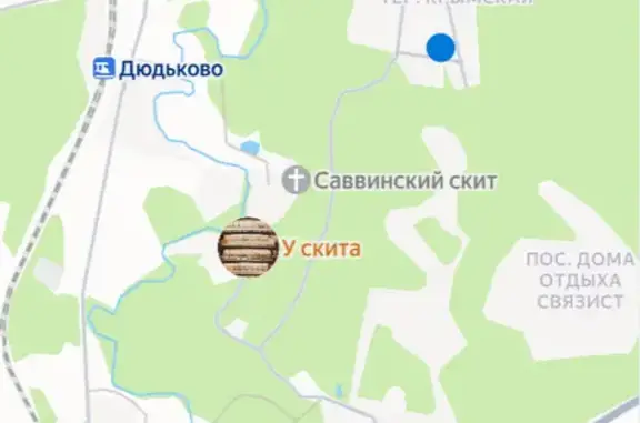 Найдена кошка, Звенигород, фото: Найдена кошка, Сосновая улица, 12, Звенигород - русская голубая