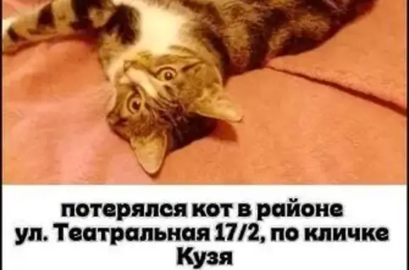 Пропала кошка, Троицк, 46Н-08942, 25 - photo