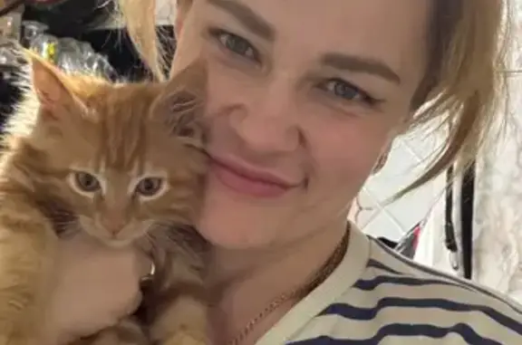 Пропал кот, 22-я Садовая площадка, 7, Таганрог - рыжий мейнкун - photo