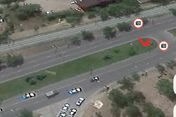 Найдена собака, Волгоград, фото: Найдена собака, проспект им. В.И. Ленина, Волгоград - рыжая или песочного цвета в синем комбинезоне