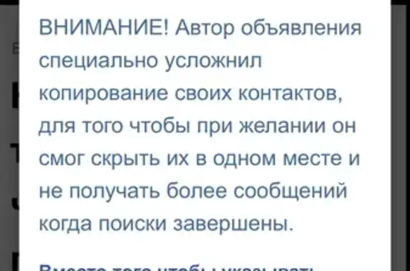 Найдена кошка, Москва, фото: Найдена кошка, Первомайская улица, Москва - трехцветная черепашка