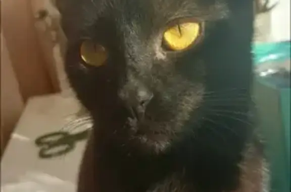 Пропал другой, мужской, улица...