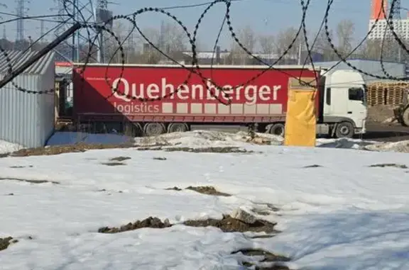 Найденные животные Реутов, фото: Найдена кошка, Коммунальный проезд, 11 с2, Реутов - табби с ошейником