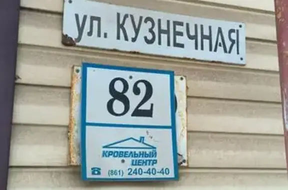 Найдена собака, Краснодар, фото: Найдена собака, Кузнечная улица, 82, Краснодар - светло зелёный ошейник