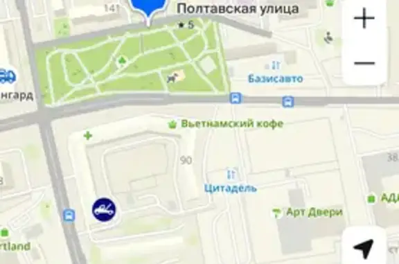 Найдена собака, Красноярск, фото: Найдена собака, Полтавская улица, 43, Красноярск - бегает в районе судостроительной малый