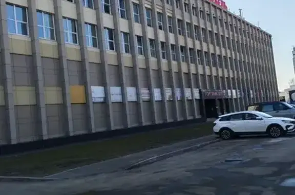 Найдена собака, Москва, фото: Найдена собака, Варшавское шоссе (дублёр), Москва - бегала возле дома 129