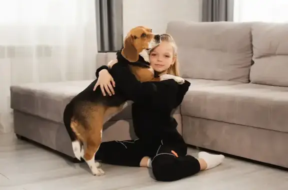 Пропала собака, Алексеевское, Ярославская область - откликается на имя Шелли - photo