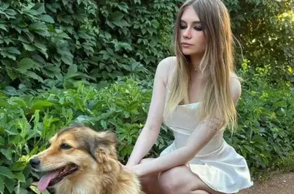 Пропала собака, проспект Гагарина, 51/2, Оренбург - ярко-рыжая с пушистым хвостом - photo