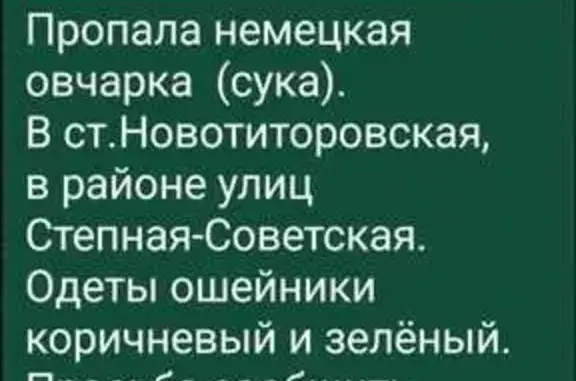 Пропала собака, Степная улица, Новотитаровская — овчарка, девочка, 8 лет - photo