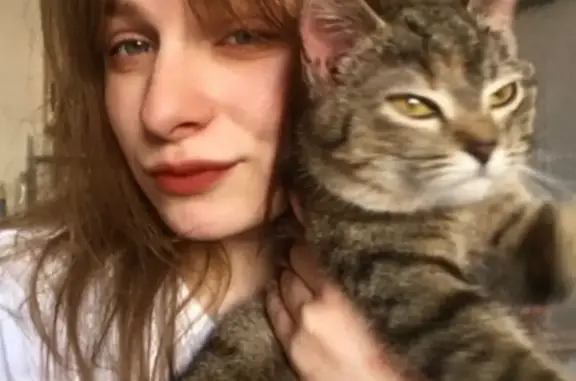 Пропала кошка, Колхозная улица, 14 к1, Рязань — худая, с белой кисточкой на хвостике - photo