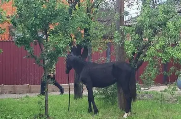 Найден другой, улица Калинина,...