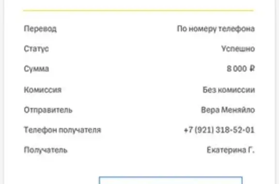 Пропала собака, Шонгуй, Мурманская область — пушистый, после грумера - photo