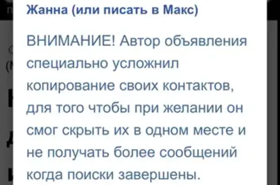 Пропала собака, Москва — белый кобель с рыжими ушами - photo