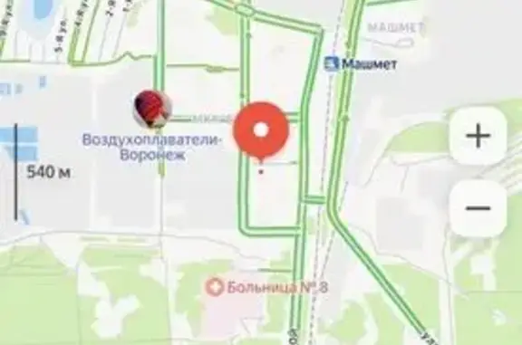 Пропала собака, Ростовская улица, Воронеж — убежала после груминга, зовут Джек - photo