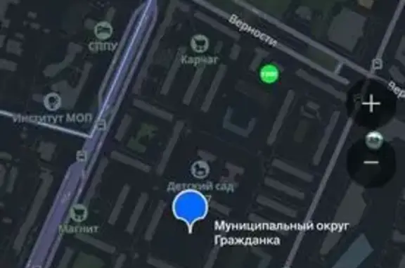 Объявления о пропавших и найденных животных, Санкт-Петербург, фото: Найдена собака, улица Бутлерова, 22 к2, Санкт-Петербург — очень ласковая, на шее синяя нитка, знает команду «сидеть»