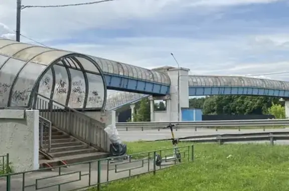 Найдена кошка, Подольск, фото: Найдена кошка, Подольск, Большая Серпуховская, д. 99, Подольск — с ошейником, ласковая