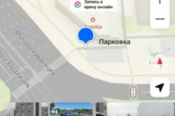 Найденные животные Челябинск, фото: Найдена кошка, Район Калининский (г Челябинск), Молодогвардейцев, д. 63А, Челябинск — кошечка, не шевелит задними лапами