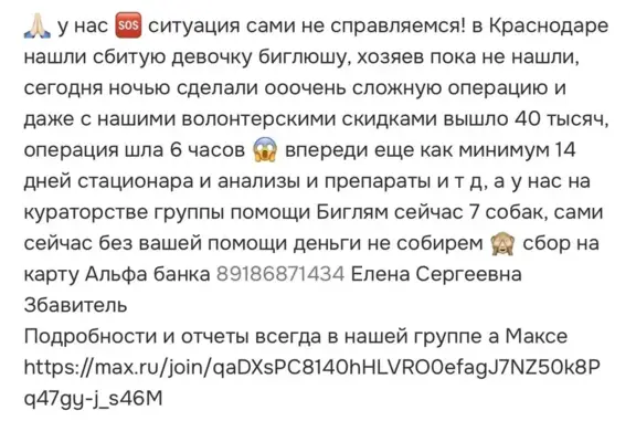 Найдена собака, Краснодар, фото: Найдена собака, Заполярная, д. 52, Краснодар