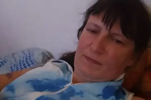 Пропала кошка, Санкт-Петербург, Маршала Новикова, д. 5 — весь чёрный, дикий - photo