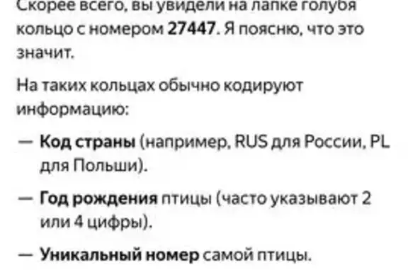 Найденные животные Казань, фото: Найдена птица, Казань, Сиреневая, д. 2, Казань — голубь с номером, не может взлететь