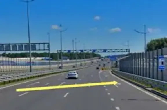 Найдена собака, Калининград, фото: Найдена собака, Большая Окружная, д. 21, Калининград — хромает, похожа на бигля