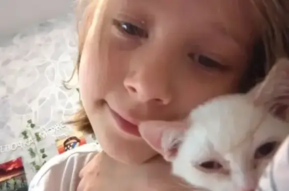 Пропала кошка, Екатеринбург, Техническая, д. 80 — белый котёнок с рыжеватыми ушками - photo
