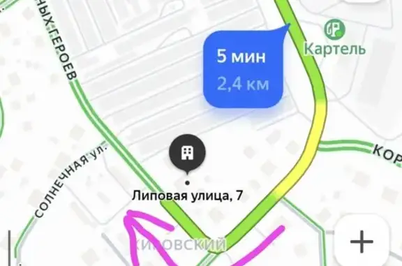 Объявления о пропавших и найденных животных, Берёзовский, фото: Найдена собака, Березовский, Красных Героев, Берёзовский — охотничья, светлая голова, тёмный ошейник
