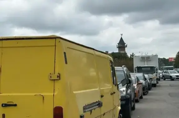Найдена кошка, Москва, фото: Найдена кошка, Район Коммунарка (г Москва), Сосновая, д. 1В, Москва — сидит и мяукает вдоль дороги