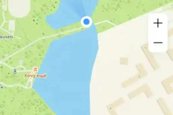 Найдена собака, Гурьевский городской округ, фото: Найдена собака, Гурьевск, Калининградское, д. 6А, Гурьевский городской округ — девочка, без ошейника