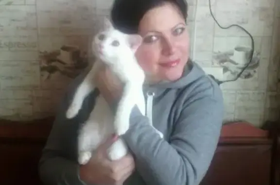 Пропал белый кот на улице З. Маресевой 7