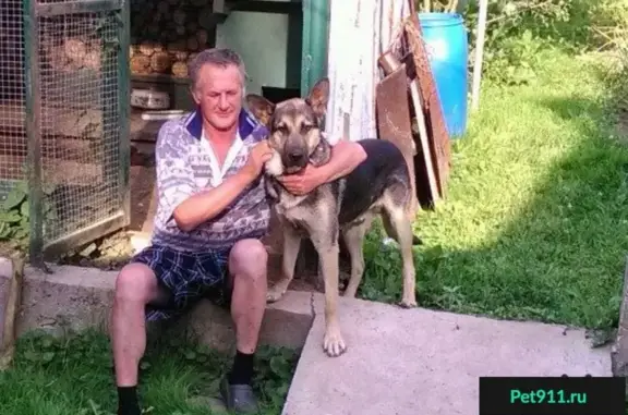 Пропал пёс в Королёве, Валентиновка