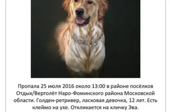 Пропала собака в Наро-Фоминском районе, вознаграждение!