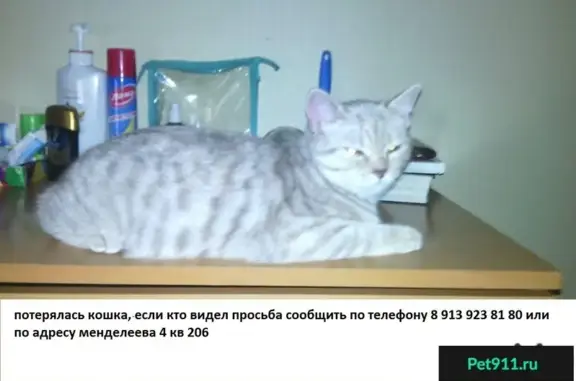 Пропала кошка на Менделеева-4 в Калининском районе