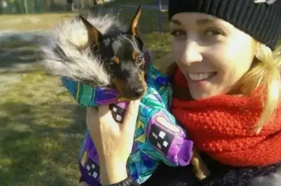 Пропала собака Нери в микрорайоне Снеговая Падь