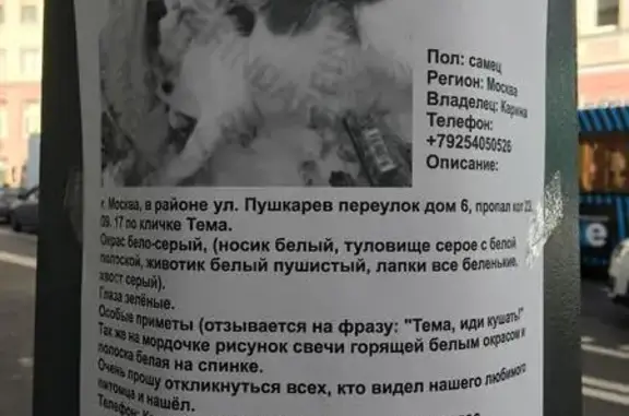 Пропала кошка на Пушкарёв переулке, Москва