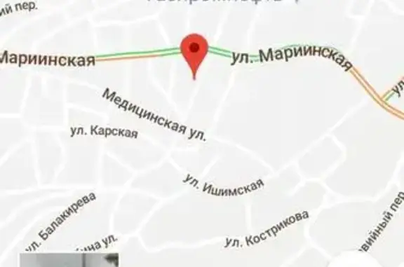 Пропала тройка хаски в Рудничном районе, Кемерово