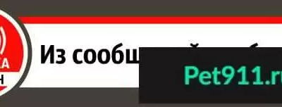 Пропала собака в Оренбурге, лабродор черного цвета, помогите!