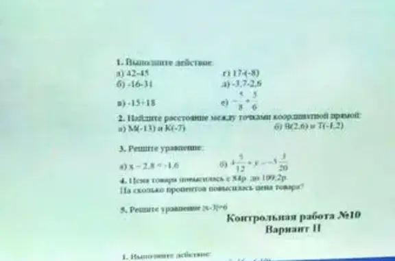 Пропала белоснежная кошка на Двинской улице в Калининграде