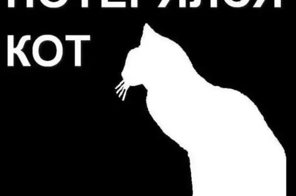 Пропал белый кот в Пролетарском районе, Тверь, 7 Красная Слобода