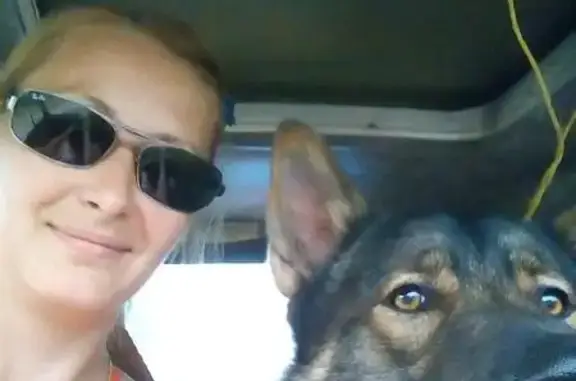 Пропала собака в Усть-Илимске, вознаграждение за находку