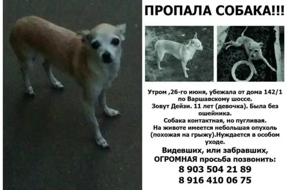 Пропала собака Москва, Варшавское шоссе 142/1