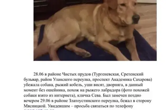 Пропала собака в Москве, Уланский переулок