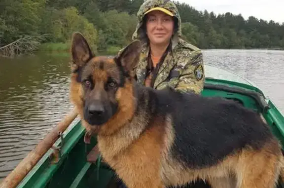 Собаки потеряшки, Кузёмкинское, фото: Потеряшка собака в деревне Венекюля, Ленобласть