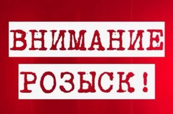 Собаки потеряшки, Дятьковский район, фото: Потеряшка собака в Дятьковском районе Брянской области