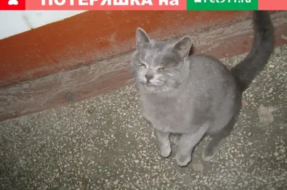 Найден подросток-котик в Верхней Пышме, Успенский проспект, 58
