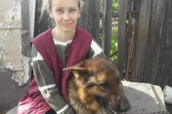 Пропали собаки возле психбольницы в Новокузнецке