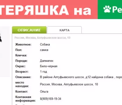 Найдена собака породы Далматин на Алтуфьевском шоссе, Москва