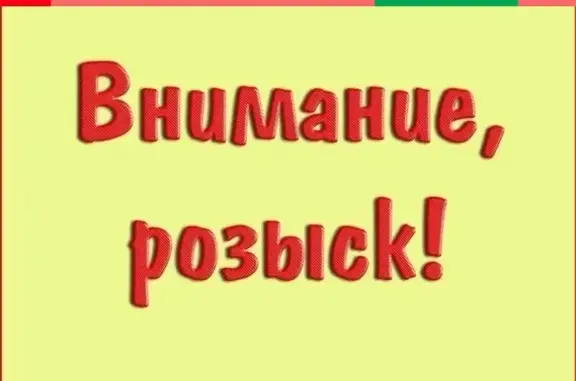 Пропала немецкая овчарка возле магазина в мкр 'Солнечный', Чита