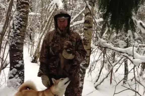 Пропала охотничья собака в деревне Колобродово, Владимирская область