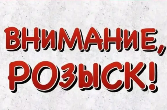 Пропала собака в Чебоксарах, помогите найти!